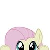 fluttershy_enthusiast0_0
