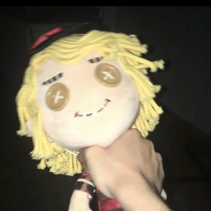 svhop_idvv