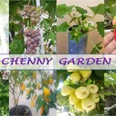 @chenny.garden