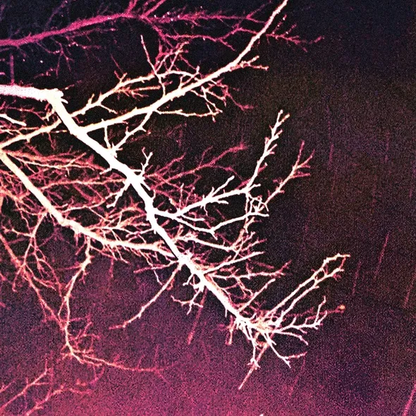 demontage_fan