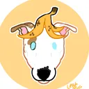 @caninewondersco