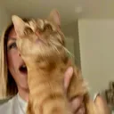 @chadmlls