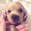 @justgrace54