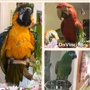 @paws_n_feathers