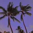 @reachmcmxcix