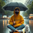 @kasheefali7