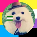 @t0t4lly_k1tty