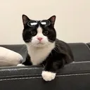 @funusa_