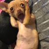 xxferrragamsonsex