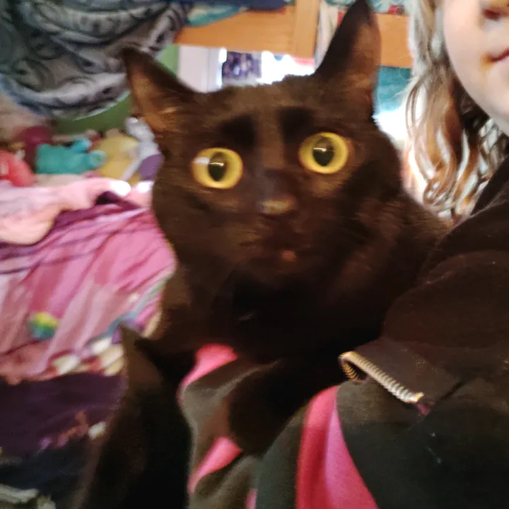 weirdos_on_pawss