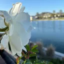 @_crystalcastro06