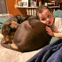@val.herrewig8