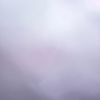 roseismeh222