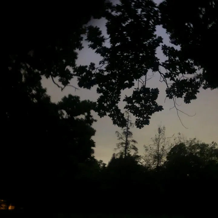 sunsoartt
