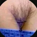 @414coreyyy