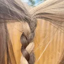 @ifbbb.b2