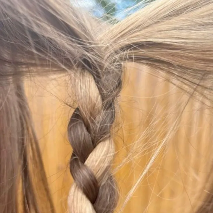 @ifbbb.b2