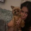 @evesx0x0