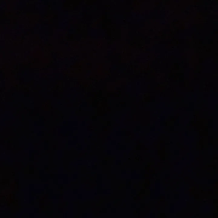 @ceccarelliii