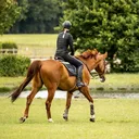 @...sophie.equine