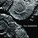 @thesundayslover99