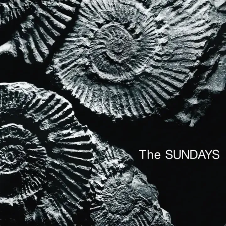 @thesundayslover99