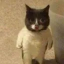 @cassstronaut