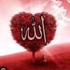 mrasad717