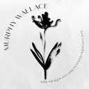 @authormurphywallace