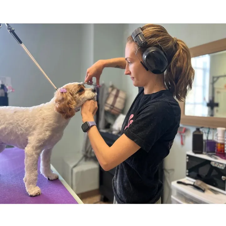 briellejonespetgrooming