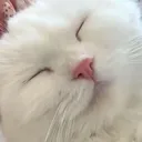 @smileyjayyyy