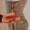 iiuliana.is