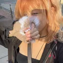 @mollybtokin5150