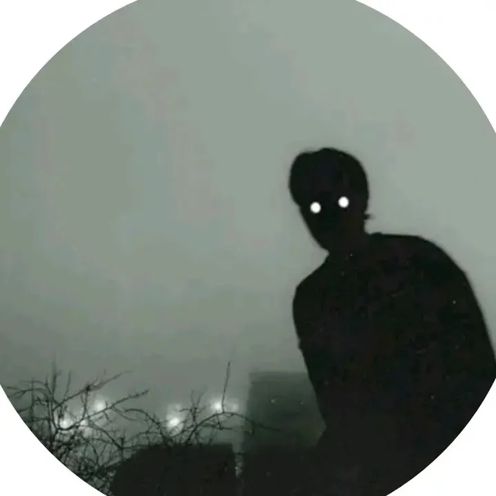 qtzt_