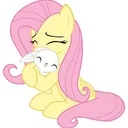 @shimer.cats