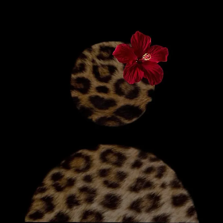 estherarls