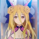 @mvquro
