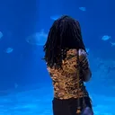 @sp2de