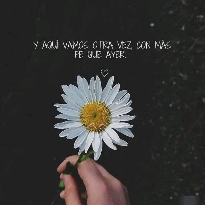 brillaconproposito.1418