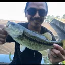 @ftbfightthebite