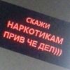vessnushkii