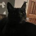 @princesskirbs