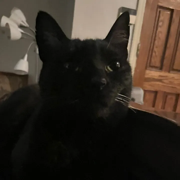 princesskirbs
