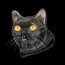 @marantcathouse