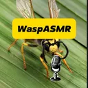 @waspasmr1