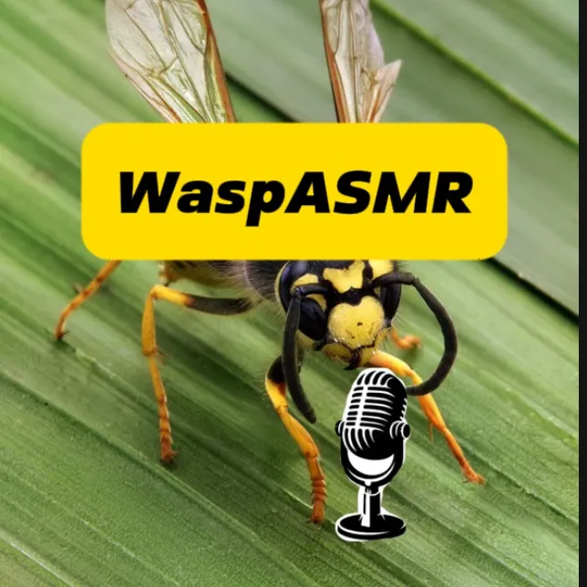 @waspasmr1