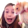 ventwithdaisybackup