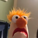 @arlane19