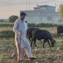 @desilifewithumar