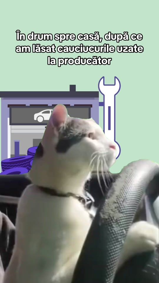 TikTok video thumbnail by ing.romania